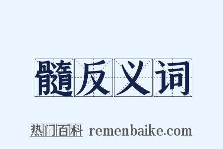 髓反义词是什么意思的图片